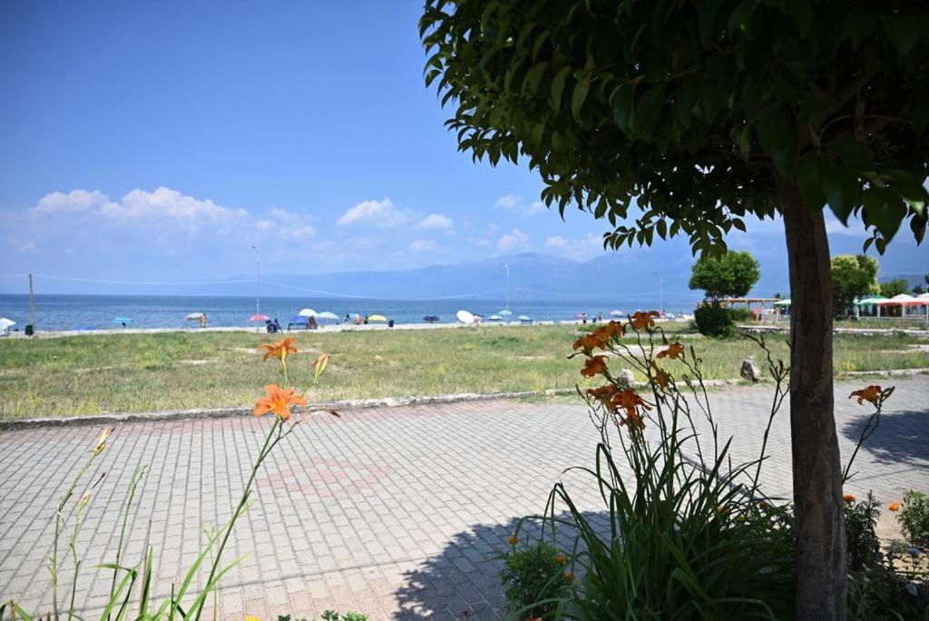 B & B Pogradec Luaran gambar